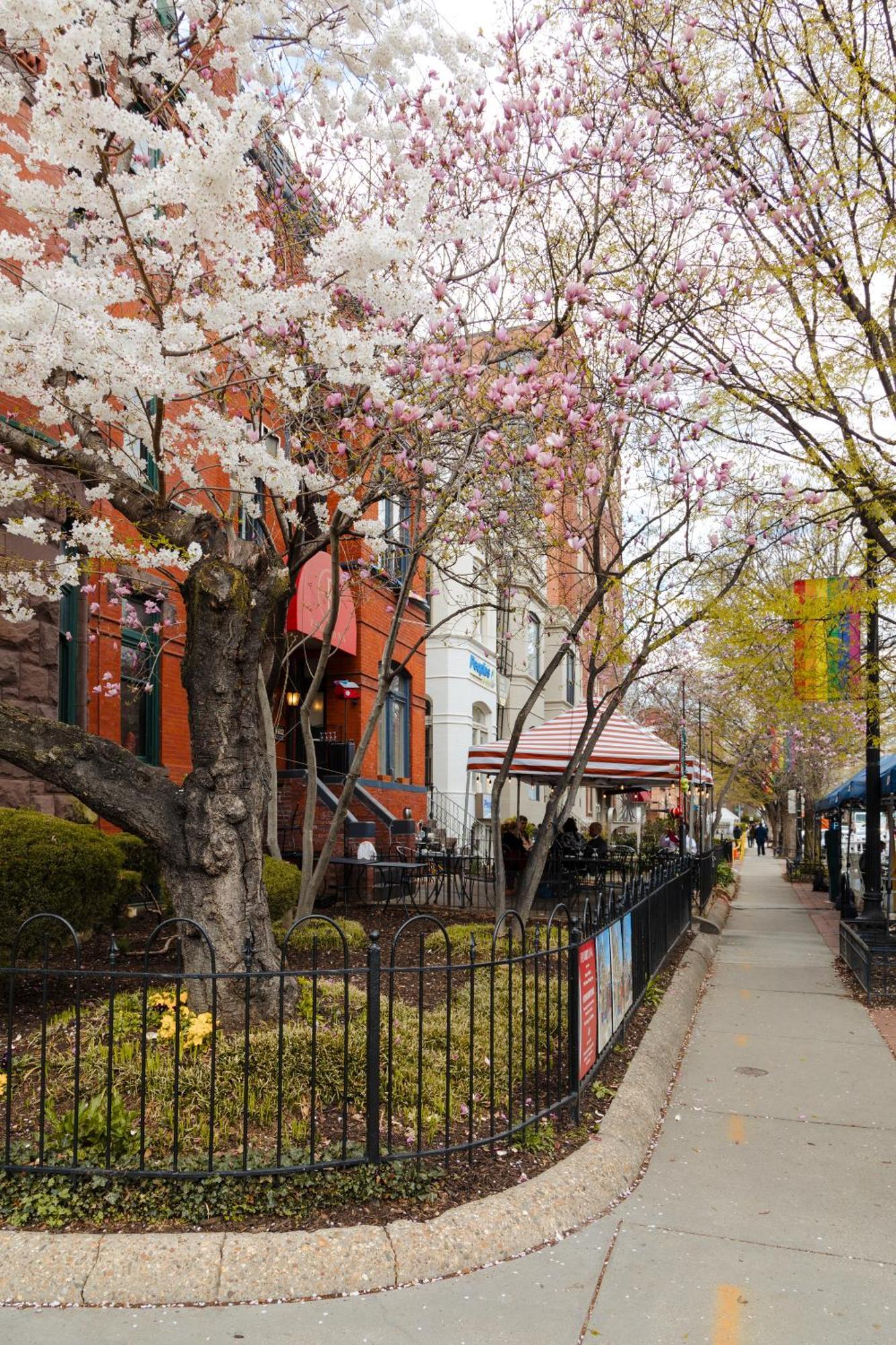 Dupont Circle Embassy Inn By Found ワシントン エクステリア 写真